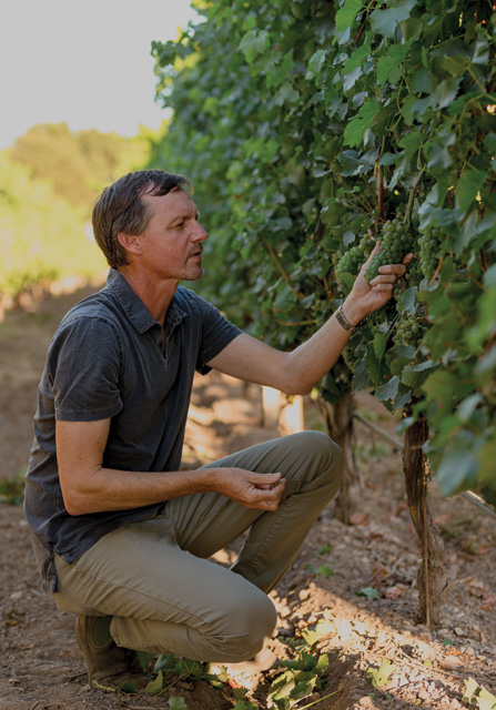 Andrew in Vineyard Row